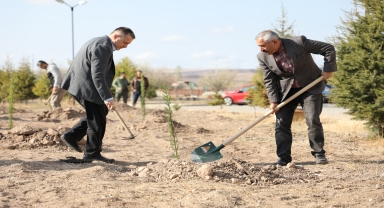 Alaca'da 350 fidan toprakla buluşturuldu