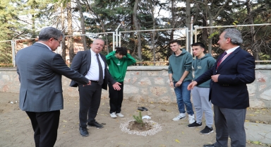 Amasya'da tıp fakültesi öğrencileri fidan dikti
