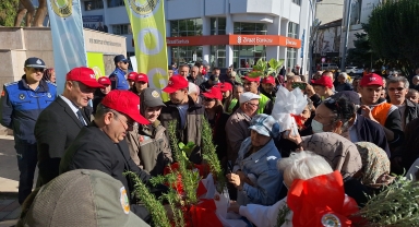 Bafra'da 40 bin 228 fidan dağıtıldı