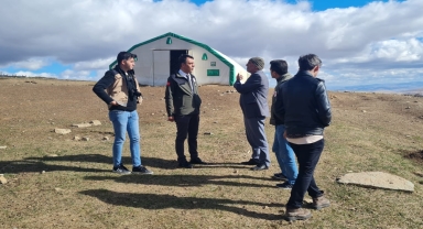 Bayburt'ta ağıla giren kurtlar 200 koyunu telef etti