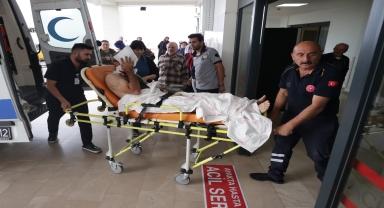Gümüşhane'de ayı saldırısına uğrayan kişi yaralandı
