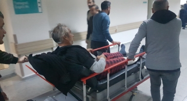 Karabük'te koyun otlatırken ayı saldırısına uğrayan 2 kişi yaralandı