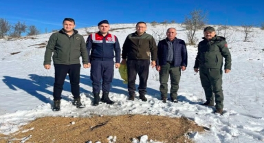 Karabük'te yaban hayvanları için doğaya yem bırakıldı