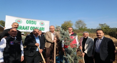 Karadeniz'de