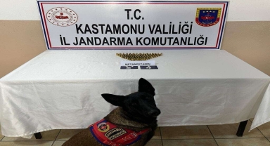 Kastamonu'da uyuşturucu ve ruhsatsız silahlarla yakalanan 3 şüpheli gözaltına alındı