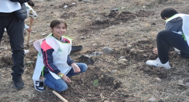 Laçin'de 150 fidan toprakla buluşturuldu