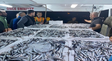 Ordu'da su ürünleri denetimleri sürüyor