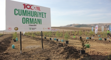 Samsun ve çevre illerde Milli Ağaçlandırma Günü'nde fidanlar toprakla buluşturuldu