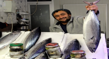 Sinop'ta balık tezgahlarında torik bolluğu yaşanıyor