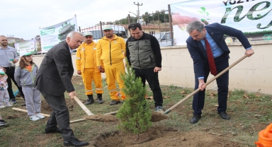 Taşova'da 100 fidan toprakla buluşturuldu