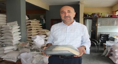 Tosya'da yeni sezon pirinci satışa sunuldu