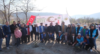 Turhal'da Milli Ağaçlandırma Günü'nde fidanlar toprakla buluşturuldu