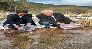 Abant Gölü'ne 3 bin 500 Abant alası yavrusu bırakıldı