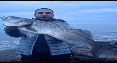Akçakoca'da amatör balıkçı 8 kilogram ağırlığında levrek yakaladı