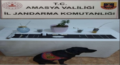 Amasya'da uyuşturucu operasyonunda 1 şüpheli yakalandı