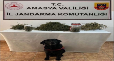 Amasya'da uyuşturucu operasyonunda 2 şüpheli yakalandı
