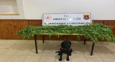 Amasya İl Jandarma Komutanlığı kasım ayında 57 KOM olayına müdahale etti