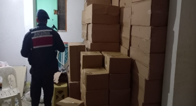 Artvin'de gümrük kaçağı sigara ve bal ele geçirildi