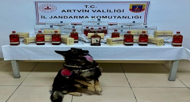 Artvin'de kaçakçılıkla mücadele çalışmaları devam ediyor