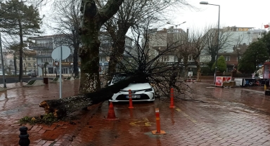 Bartın'da fırtına nedeniyle çatılar uçtu, otomobilin üzerine ağaç devrildi