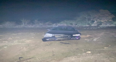 Bolu'da domuza çarpan otomobilin sürücüsü yaralandı