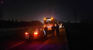 Çorum'da otobüsün çarptığı eşek telef oldu