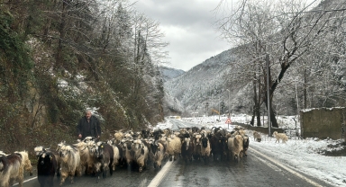 Doğu Karadeniz'de ulaşım sağlanamayan 395 köy yolundan 287'si açıldı