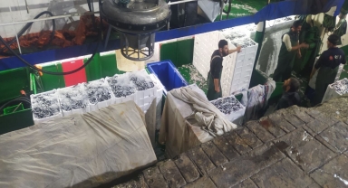 Düzce ve Zonguldak'ta balıkçılar kasalar dolusu hamsi avladı