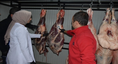 İskilip'te et ürünleri satan yerler denetlendi
