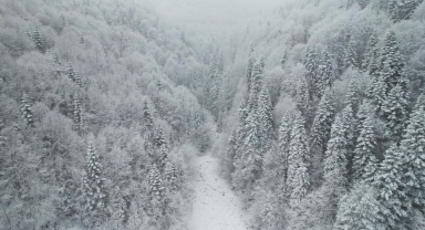 Kastamonu'da kar ve sisle buluşan ormanlar dronla görüntülendi