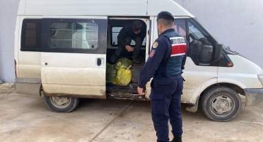 Sinop'ta 11 düzensiz göçmen yakalandı