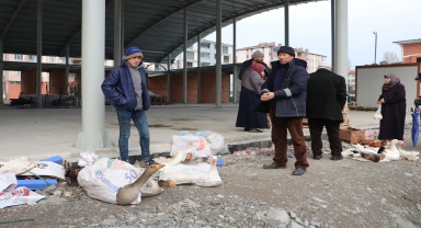Tirit sezonunun başlamasıyla Havza'da kaz satışları arttı