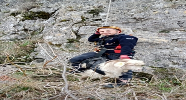 Amasya'da kayalıklarda mahsur kalan keçi kurtarıldı