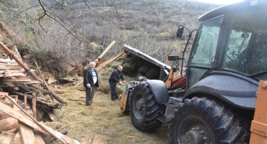 Artvin'de heyelanda çöken ahırdaki iki büyükbaş telef oldu