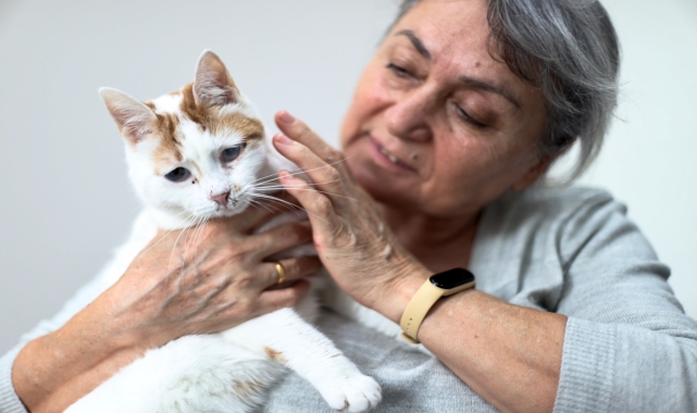 Bedensel engelli emekli öğretmen ile gözleri görmeyen kedisi