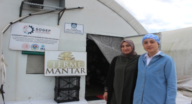 Samsun'da istiridye mantarı üreten girişimci kadınlar günde 200 kilo ürün alıyor