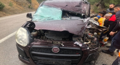 Tokat'ta pikapla kamyonetin çarpıştığı kazada 2 kişi yaralandı