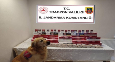 Trabzon'da kaçak sigara operasyonunda 2 kişi gözaltına alındı