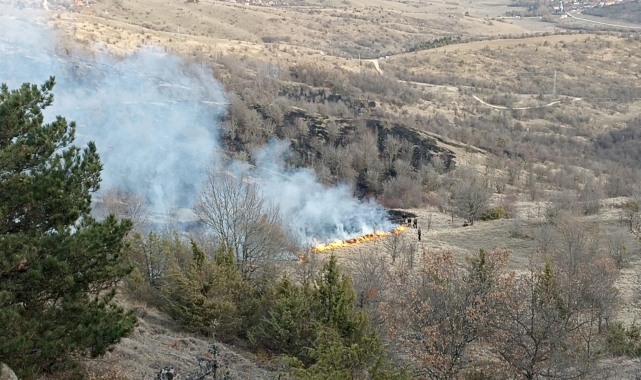 Karabük'te çıkan örtü yangını söndürüldü