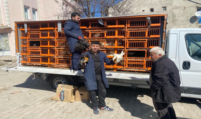 Almus'ta çiftçilere 2 bin tavuk, horoz ve hindi yavrusu dağıtıldı