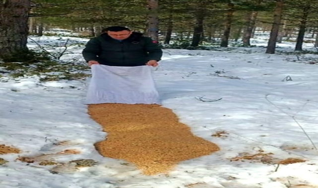 Karabük'ten kısa kısa