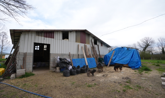 Şehir hayatından sıkılan kuaför kadın, köyünde tarım ve hayvancılığa başladı