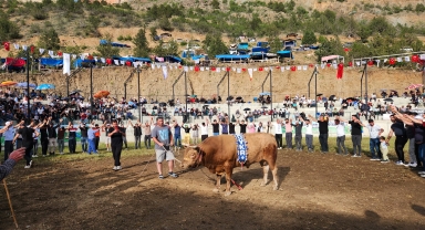 Artvin'de