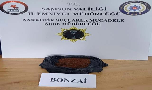 Samsun'da uyuşturucu operasyonunda 10 kişi yakalandı