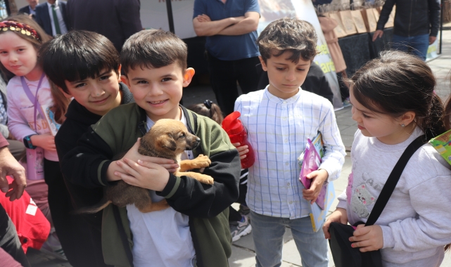 Ünye'de Dünya Sokak Hayvanları Günü etkinliği düzenlendi