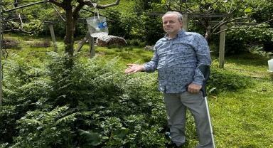Artvin'de kahverengi kokarcayla mücadele devam ediyor