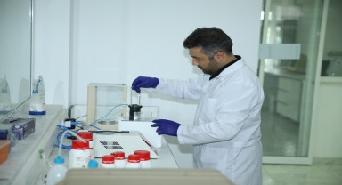 Bal arısı ırkları gen bankasıyla korunacak