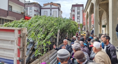 Çaykara'da vatandaşlara 5 bin meyve fidanı dağıtıldı