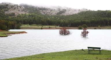 Dikmetaş Yaylası'nda ilkbahar güzelliği