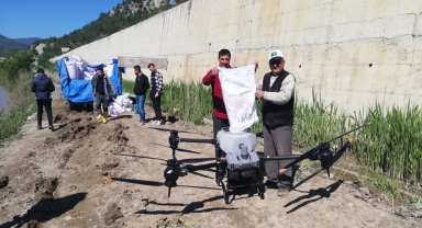 Hanönü'de dron ile çeltik ekimi yapıldı